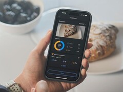 The Zepp App Food Log feature (pictured) has been improved. (Image source: Zepp Health)