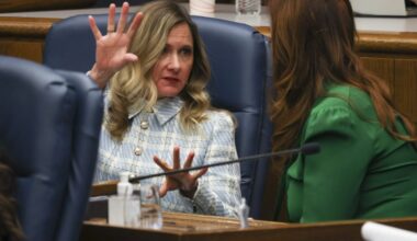 Bridget Degnen joins exodus from Cook County Board