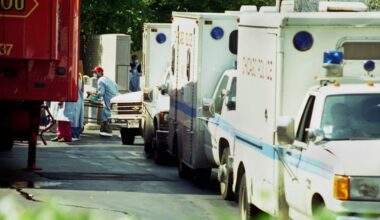 30 years after deadly heat wave, climate change elevates risks