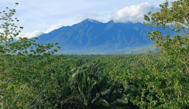 Cyclops Mountains: These Indonesian Peaks Are Home To Some Seriously Strange Wildlife