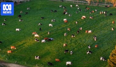 Green paddocks mask reality of communities still very much in drought