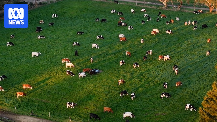 Green paddocks mask reality of communities still very much in drought