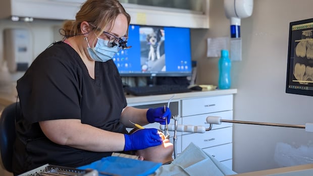 Half of requests for complex dental work are being rejected under national insurance plan