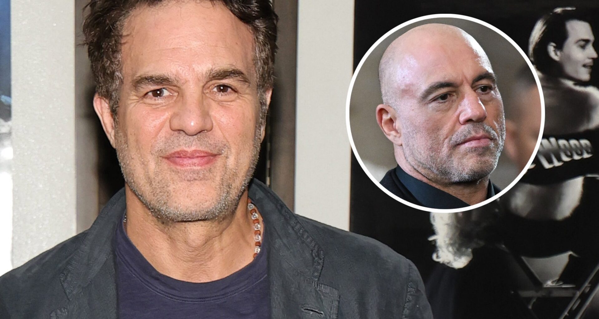 Mark Ruffalo Criticizes Joe Rogan's Response to ICE Immigration Raids