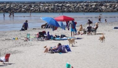 Volunteers remove over 800 pounds of trash from OB beaches in post-July 4 cleanup – San Diego Union-Tribune