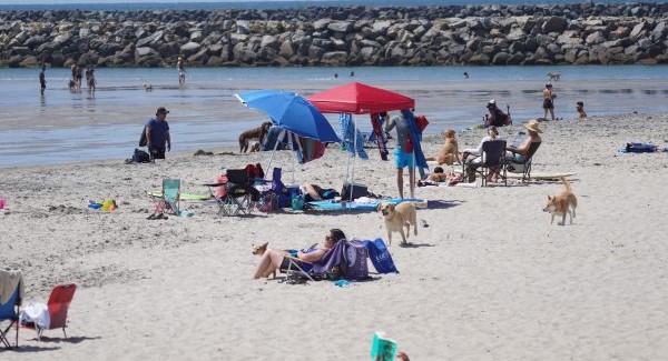 Volunteers remove over 800 pounds of trash from OB beaches in post-July 4 cleanup – San Diego Union-Tribune