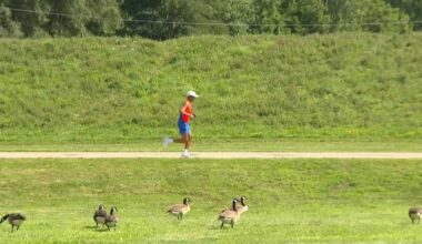 Urbandale’s ‘little monster’ gets geese to move safely, saving taxpayers money