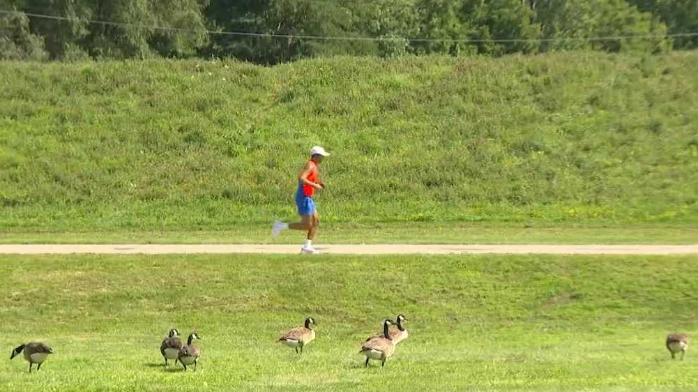 Urbandale’s ‘little monster’ gets geese to move safely, saving taxpayers money