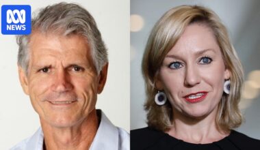 Greens co-founder Drew Hutton slams party as 'authoritarian, aggressive, unlikeable'