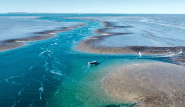 Incredible photo reveals brutal reality of Australia's 'dynamic environment' after miscalculation