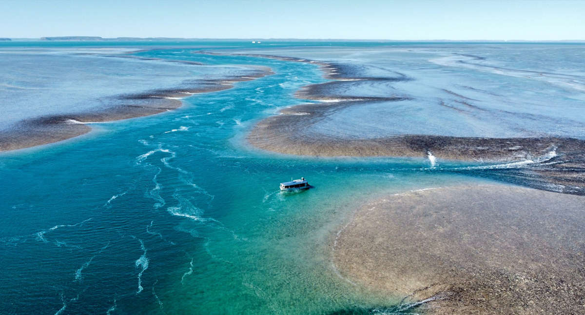 Incredible photo reveals brutal reality of Australia's 'dynamic environment' after miscalculation