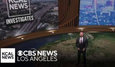 Immigration arrests by the numbers | KCAL Investigates