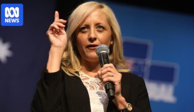 Shadow minister for women calling for systemic Liberal Party change beyond quotas
