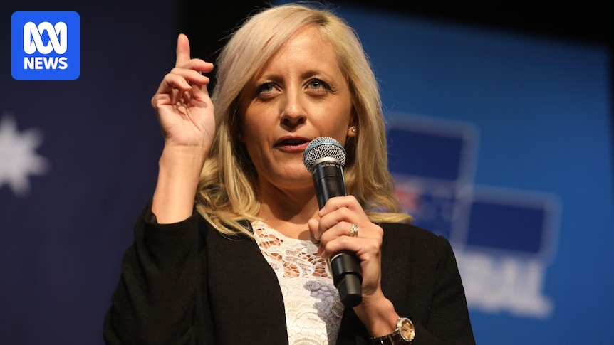 Shadow minister for women calling for systemic Liberal Party change beyond quotas