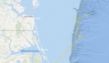327 pound dusky shark swimming off Virginia coast
