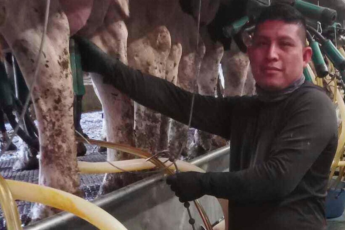 A Vermont dairy farm was raided. The mixed messages from Washington since then have increased fears