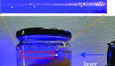 Edible Microlasers Could Revolutionize Food Tracking and Safety
