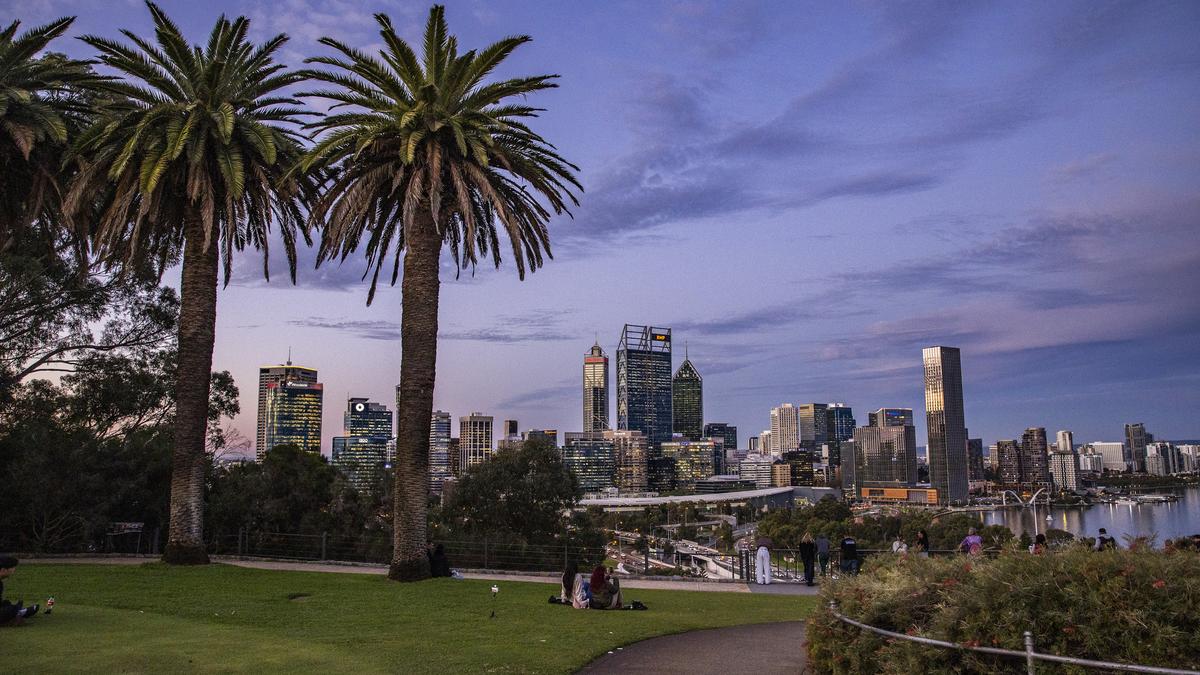 Fund launched to help residents replace trees lost to shot-hole borer
