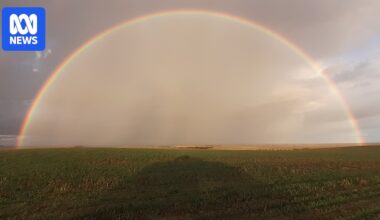 Rain brings relief in parched Victoria and puts smiles on farmers' faces