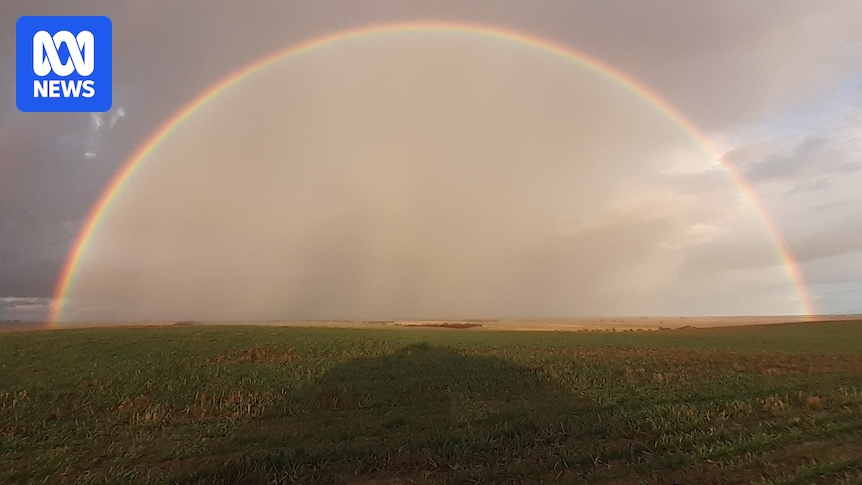 Rain brings relief in parched Victoria and puts smiles on farmers' faces