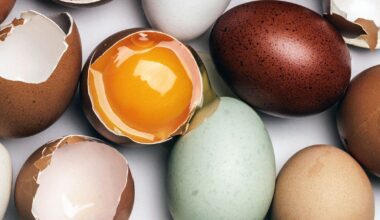 Eating eggs linked to less buildup of toxic proteins