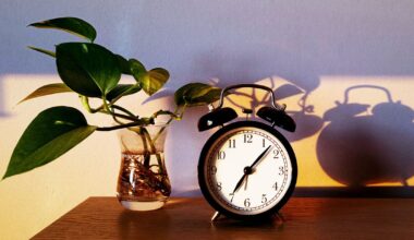 One type of calorie restriction may best aid weight loss