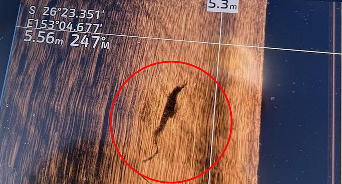 Alarm raised after rare sighting at major Aussie tourist hotspot: 'Unheard of'