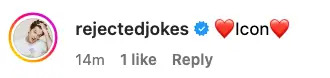Screenshot of an Instagram comment by user "@rejectedjokes" saying "Icon" with heart emojis