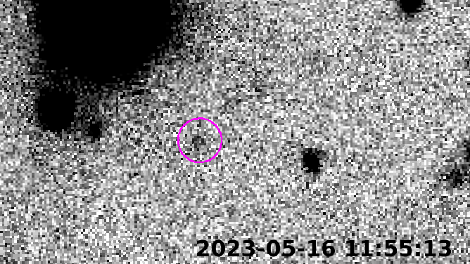 This animation shows the motion of Ammonite over several hours. Based on its brightness at the time of observation, its diameter is estimated to be between 220 and 380 kilometers.