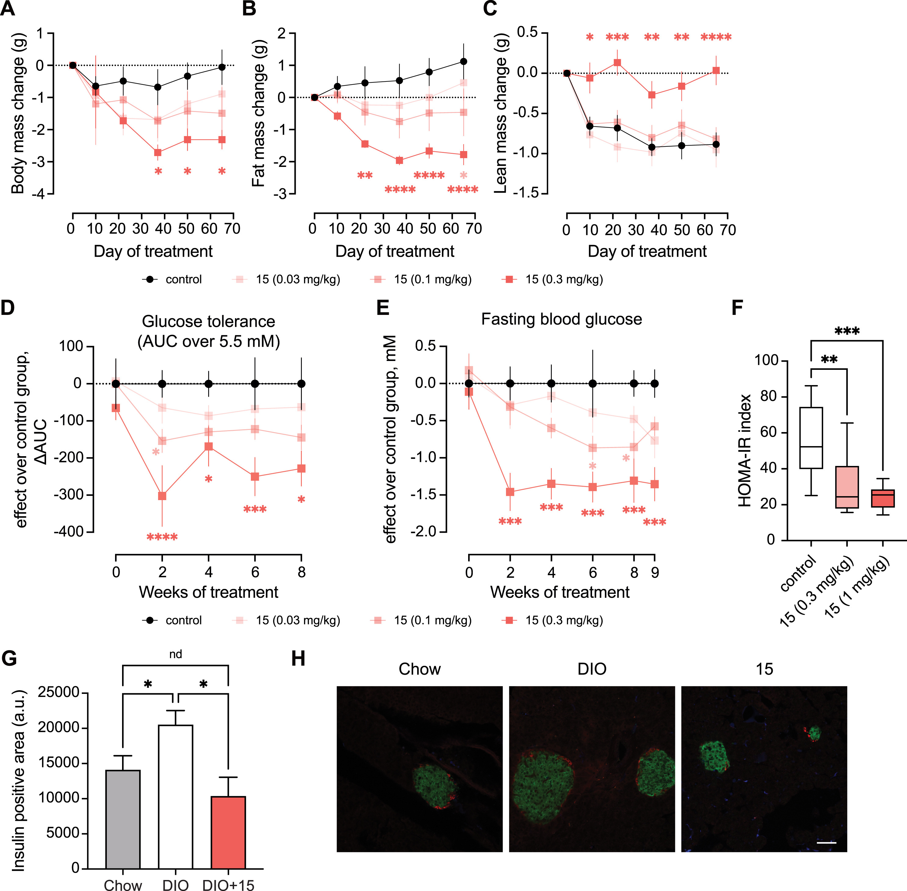 (A–E) (A–C) Changes to body mass, fat mass, and lean mass as well as (D and E) to area under the curves of glucose tolerance and to fasting blood glucose were recorded in diet-induced obesity (DIO) mice for more than 2 months following treatment with different doses of compound 15 (0.03, 0.1, and 0.3 mg/kg) administered by daily oral gavage. Data are represented as the mean ± SEM (n = 8–10). ∗p < 0.05; ∗∗p < 0.01; ∗∗∗p < 0.001; ∗∗∗∗p < 0.0001 (two-way ANOVA with Dunnett's multiple comparisons test).(F) Homeostatic model assessment for insulin resistance (HOMA-IR) in DIO mice treated with saline or compound 15 (0.3 or 0.1 mg/kg) by daily oral gavage for 18 days. Boxplots depict the median and 25th–75th percentiles with whiskers extending to the min and max values (n = 9). ∗∗p < 0.01; ∗∗∗p < 0.001 (one-way ANOVA with Dunnett's multiple comparisons test). (G and H) Quantification of insulin-positive area (green) from confocal images of islets from chow-fed and DIO mice treated with or without compound 15 (0.1 mg/kg) by daily oral gavage for 85–88 days. Glucagon, red; scale bar, 50 μm. Data are represented as the mean ± SEM (n = 24–31 islets). An asterisk represents a discovery (q < Q) (one-way ANOVA with Benjamini, Krieger, and Yekutieli FDR method).
