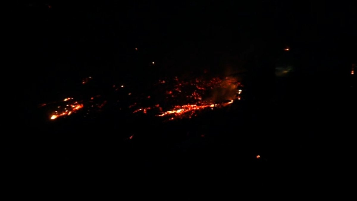 Firefighters respond to brush fire on Montecito Heights hillside – NBC Los Angeles