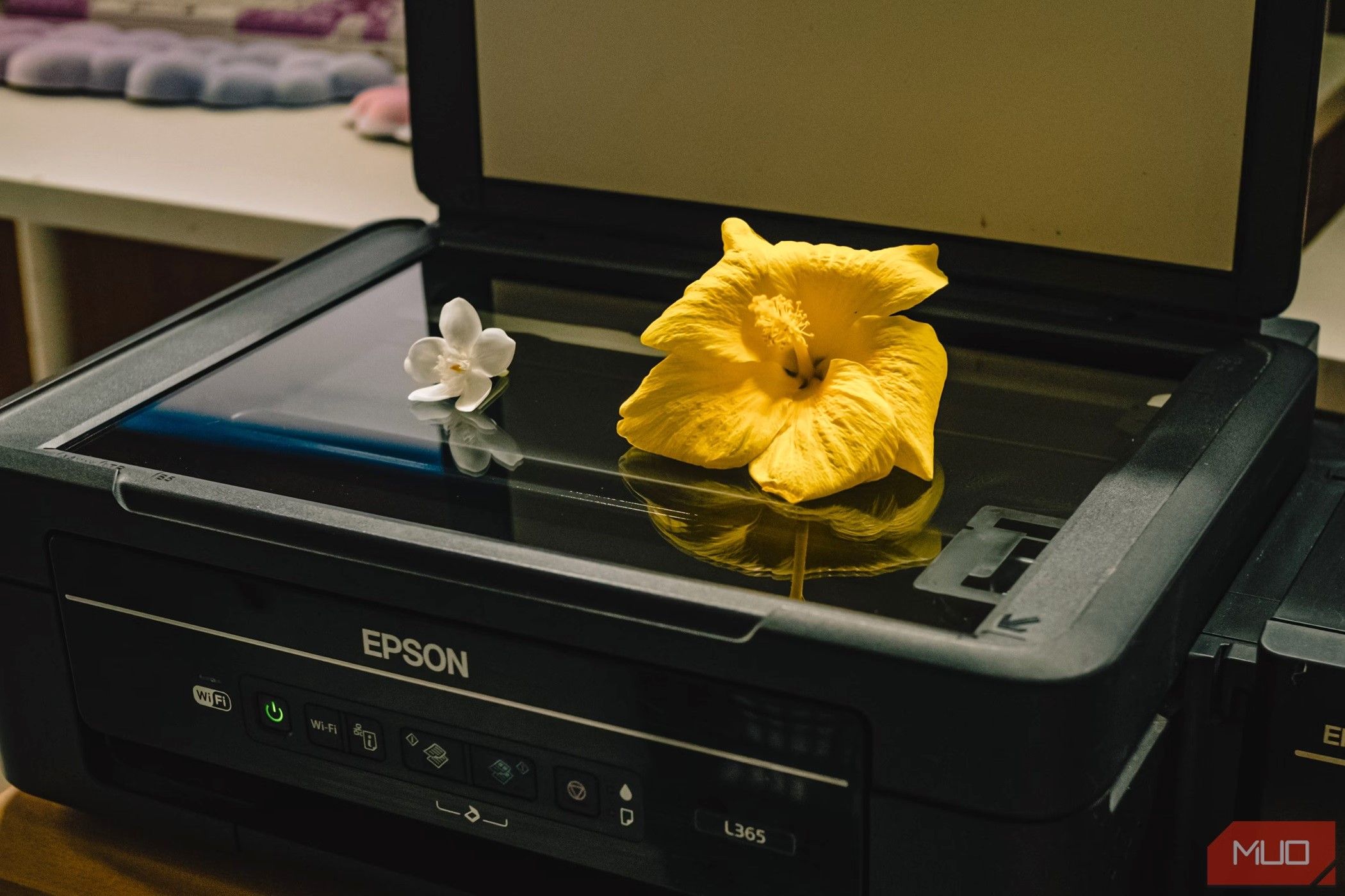 flowers-on-a-flatbed-scanner