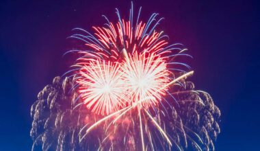 Fireworks shows and other 2025 Fourth of July events are scheduled across metro Phoenix....