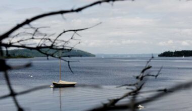 Search for reported entangled whale in Penobscot Bay suspended