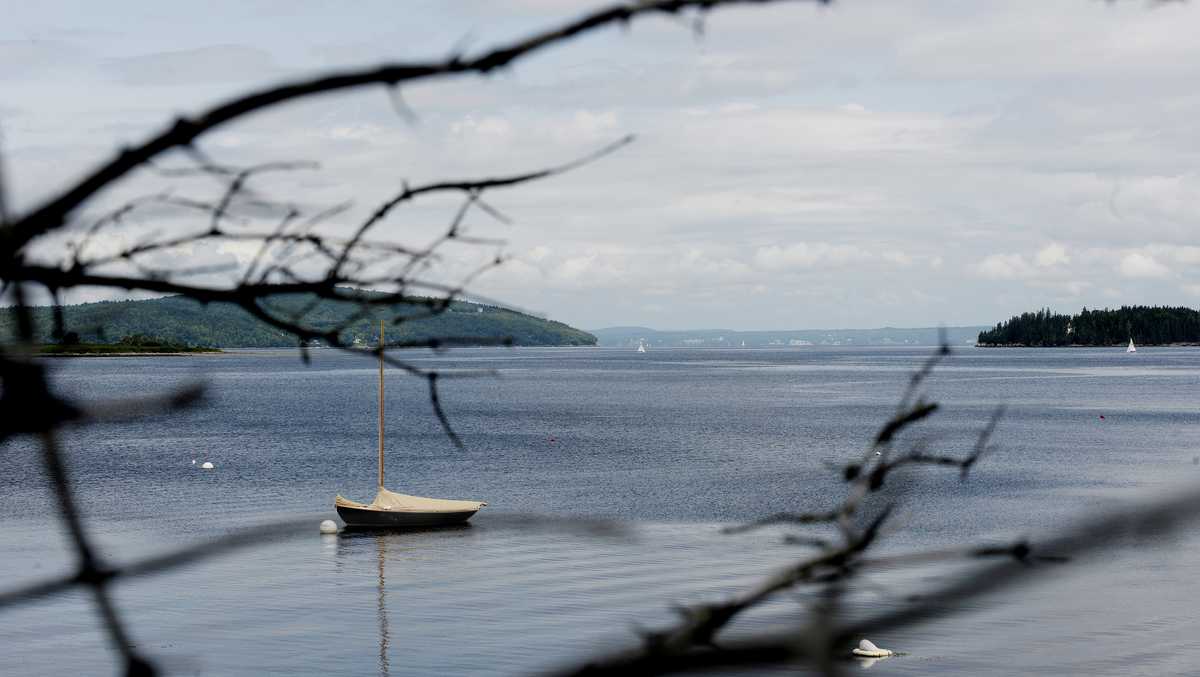 Search for reported entangled whale in Penobscot Bay suspended