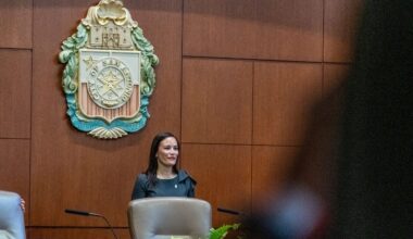 Jones lays plans to 'vet' council's policy proposals and limit leaks
