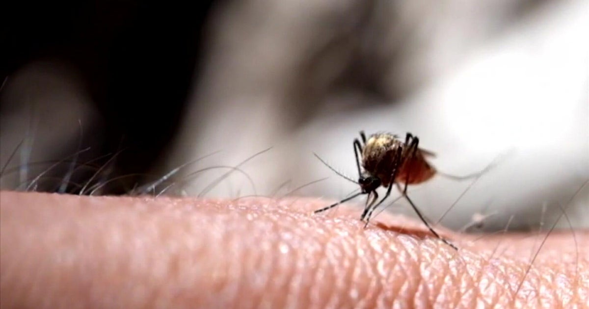 West Nile virus detected in NYC mosquitoes as experts track rise in U.S. cases