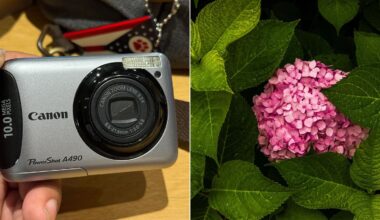 Left: A hand holding a silver Canon PowerShot A490 camera. Right: A cluster of pink hydrangea flowers surrounded by green leaves.