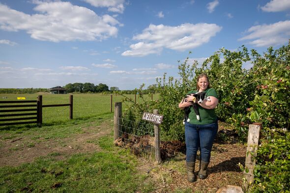 Farmer Hannah Thorogood