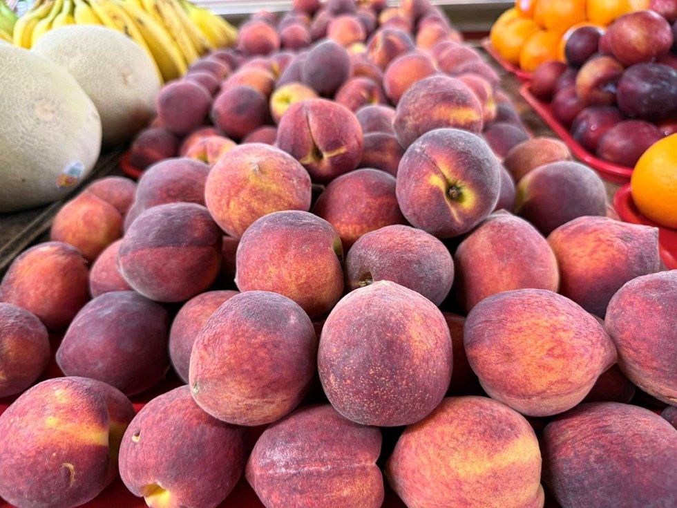 Haslet Feed and Farm Market, peaches