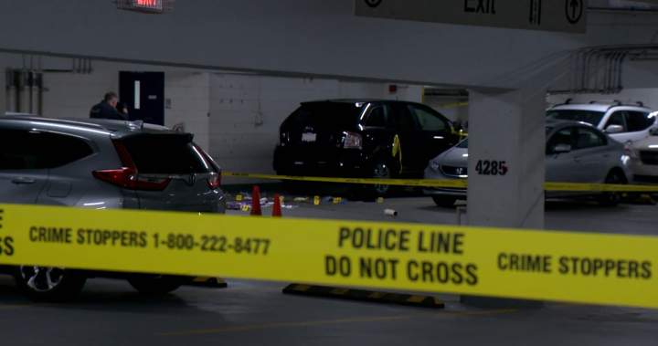 Troubling details emerge about ex-boyfriend of victim in fatal Calgary shooting