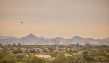 Beneath the blazing sun, Black Phoenix sows community