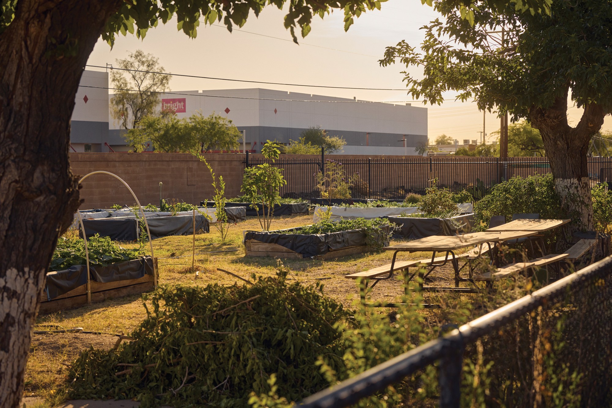 TigerMountain Foundation's community garden gives area residents a green space where they can plant and harvest vegetables for their families.