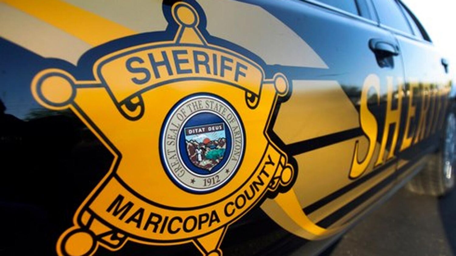hit-and-run suspect...
