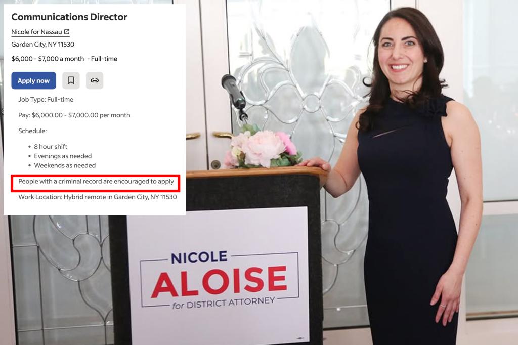 Democrat running for NY district attorney 'encourages' criminals to apply for job on staff