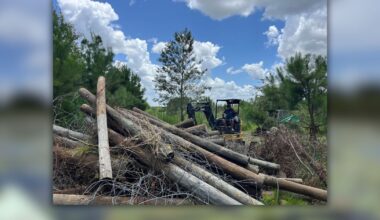 Fence removed from Smith Lake to protect wildlife and improve safety – Action News Jax