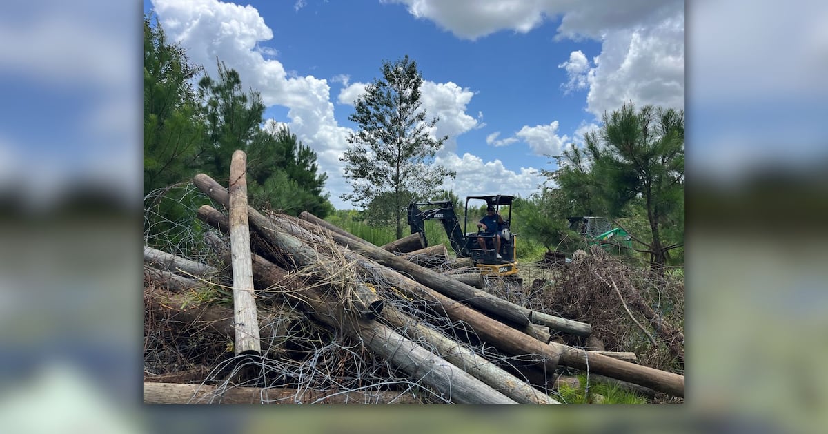 Fence removed from Smith Lake to protect wildlife and improve safety – Action News Jax