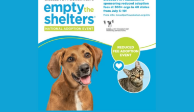 Jacksonville Humane Society offers reduced-cost adoptions July 5–19