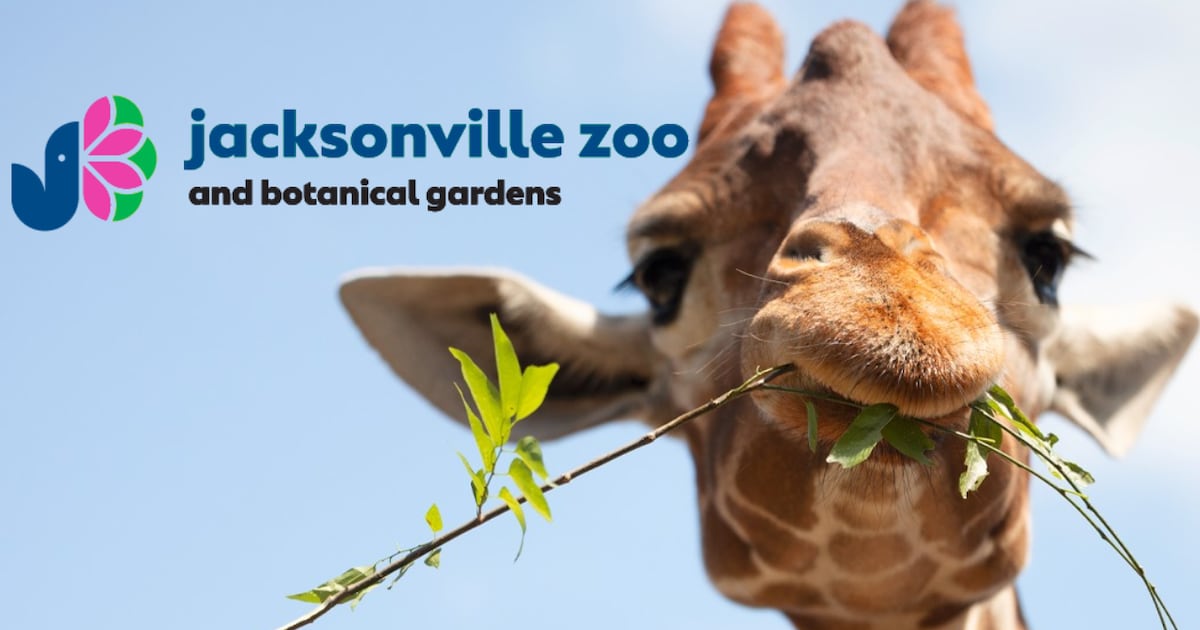 Jacksonville Zoo offering $5 entry on select days in July