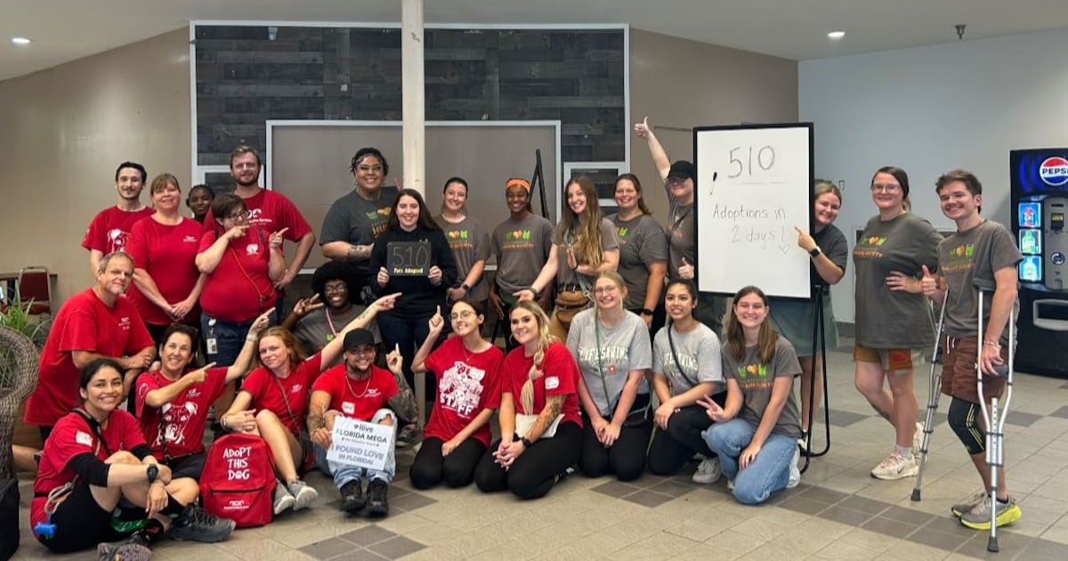 510 animals find families at Jacksonville’s 2-day Mega adoption event – Action News Jax